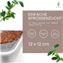 ZELLGUT® Passoire à Cresson, Bac à Germination - 12 cm - Bol en Céramique + Tamis en Acier Inoxydable - Appareil pour la Culture