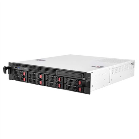 SilverStone SST-RM21-308 - Châssis de serveur monté en rack 2U