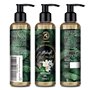 Huile de massage Midnight Jasmine 200ml - 100% Pur & Naturel - Bon Sommeil - Relax - Beauté - Bien-Être - Peau - Bouteille en Ve