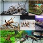 NISHZHU Mini Bois Flotté pour Aquarium Branches en Bois Naturel DéCorations D'Aquarium Tronc d'arbre Bois Flotté Assorti (10 Pac