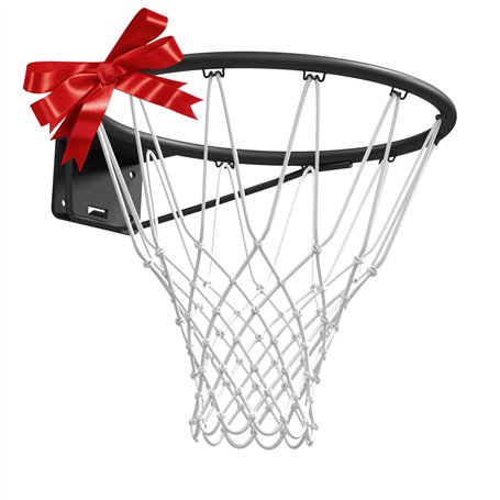 Taille Officielle (45 cm) Basket-Ball Anneau