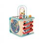 Hape Cube de Motricité Magique - Centre d'Activité Enfant 1 an - 5 Faces d'Activités - Animaux