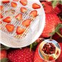Déshydrateur de Légume de Fruit avec Minuterie et Réglages de Température