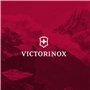 Victorinox, Swiss Classic, Couteau à tomates et de table professionnel, Lame extra-tranchante, tranchant dentelé, 11 cm, Manche