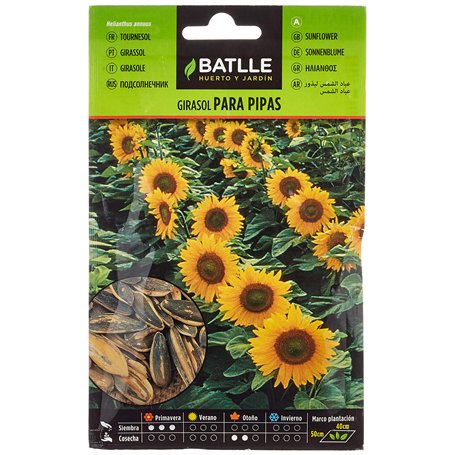 Graines aromatiques de Batlle - Tournesol (Seeds - 30cm)