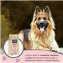 Avantis Pet Pure Oceanic Adult - Aliment pour Chiens Adultes de Toutes Races à estomame Sensible - 12 kg - Aliments secs pour Ch