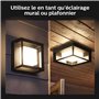 Philips Hue White & Color Applique murale Extérieure ECONIC en aluminium, Noir, fonctionne avec Alexa, Google Assistant et Apple