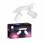Philips Hue White & Color Ambiance Fugato Spot 2 flg