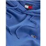 Tommy Jeans Sweat à Capuche Homme Regular Fit Flag Fleece avec Capuche, Bleu (Tempo Blue), XXL