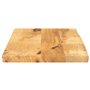 vidaXL Dessus de Table 60x40x2,5 cm Bord Vivant Bois Massif manguier, Dessus de Table en Bois, Dessus de Table d'appoint, Dessus