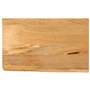vidaXL Dessus de Table à Bord Vivant 50x20x2