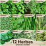 Kit Graine herbes aromatiques BIO | 12 différentes graines potager - Ton propre jardin herbes aromatiques pour la cuisine ou le