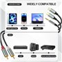 Câble RCA pour téléphone, câble RCA audio auxiliaire adaptateur Light-ning à 2RCA vers jack de 3,5 câble ou audio USB de type C,