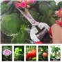 QianRuiDa Sécateur De Jardin Ciseaux De Jardin Sécateur à Poignée Antidérapante Sécateur à Main Ciseaux De Jardin De Fleuriste p