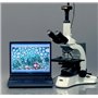 AmScope MU130 1.3MP USB2 Microscope Digital Camera + Editing & Measuring Software, Compatible with Windows XP/Vista/7/8 and Mac 