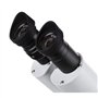 AmScope Se306r-p-e 20 x -40 X stéréo deux lumière microscope avec caméra USB
