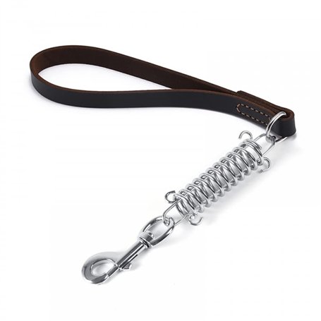 Laisse Courte pour Chien