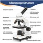 Microscope Enfants et débutants, grossissement 100X-1000X, kit de Diapositives préparées, de Laboratoire à Double éclairage LED 