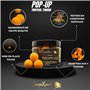 CarpeXpert - Pop-up Tropical Tundra - 15mm - Bouillette Flottante Boosté & Hyperprotéiné - Diffusion Continue sur 22h+ - 50g - A