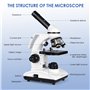Tuword Microscope(40-1000X) Optique Microscopes Biologique Monoculaire avec Source De Lumière LED Et Support De Téléphone Portab