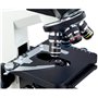 Omax M837zl-a191 Dry Darkfield 40 x-luminosité X haute puissance remplaçable lumière LED Microscope trinoculaire composé de sang