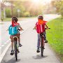 HONMOK 2pcs Fanions Vélo Enfant Pirate Dinosaure Réfléchissant Drapeau de Sécurité avec Mâts Réglables pour Garçon Fille Cyclism