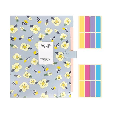 Trieur De Fichiers Bleu 1 Pièce Avec 2 Autocollants Colorés