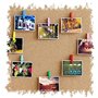 Tiardey 50 pcs Couleur en Bois Clips Punaises, Pinces en Bois avec Punaises pour Tableaux en Liège Carte Notes Photos Mur dans B