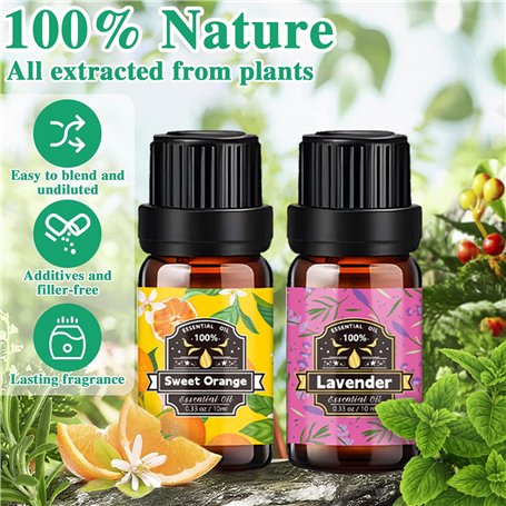 Lot de 8 porte-étiquettes de bagage de croisière avec fermeture éclair colorée et boucles en acier colorées, réutilisables et ét