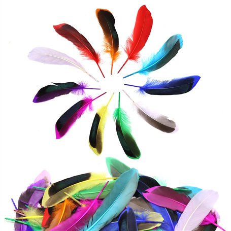 DNDGDLUA Lot de 50 Plumes ColoréEs