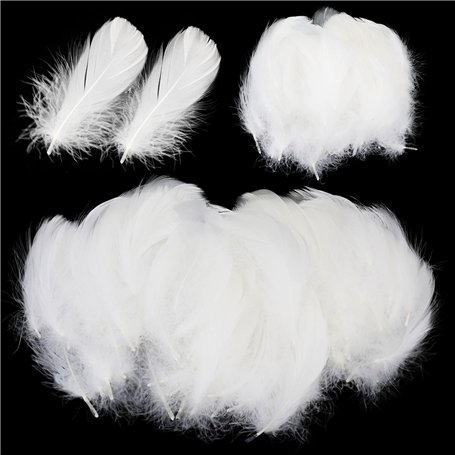 Paquet De 600 Plumes Blanches Artisanales