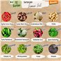 Lot de 12 variétés de graines de légumes déméter pour toute l'année | Graines de légumes rares et anciennes toutes résistantes a