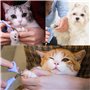 IKadiya Coupe Griffes Chat, Professionnel Coupe Ongle Chien, Très Bon Coupe Griffes pour Les Chats, pour Chat Chiot Lapin Oiseau