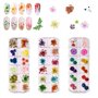 Fleur Séchée pour Ongles 3 boîtes 36 Couleurs Nail Applique 72 pièces 3D Nail Art Fournitures Applique pour Bricolage Nail Art d