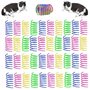Lot de 40 jouets à ressort à ressort pour chat - Spirales multicolores en plastique - Plumes - Plastique coloré - Nouveauté pour