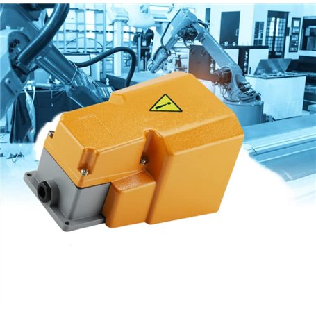 Interrupteur au Pied Industriel