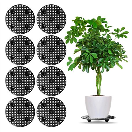 Lot De 8 Support À Plantes