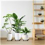 30cm Élévateurs De Pot De Fleurs Ronds
