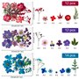 Cadeau Anniversaire Maman Fleurs Pressées Séchées Fleurs séchées Naturelles Fleurs Sechees à Ongles Multicolores pour resine epo