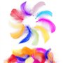 Firschoie 500 Pcs Plumes Colorées