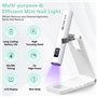 Lampe UV Portable