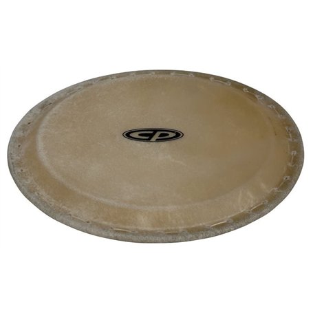 Latin Percussion