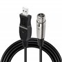 GELRHONR USB vers XLR Microphone Câble