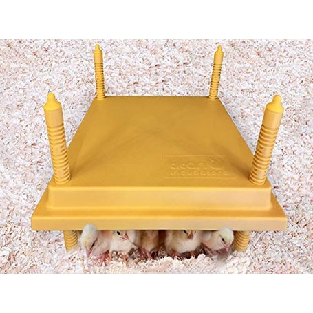 Titan Incubators - Plaque electrique pour poussins - 30x30 cm