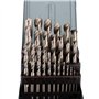 Forets Carbure Metaux Foret Metal, Coffret Foret Metal Lot de 25 Forets Hélicoïdaux HSS avec Boîte de Rangement en Métal pour Bo