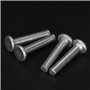 100pcs M4 Rivet Solide à Tête Plate en Alliage d'Aluminium Rivets Pleins Rivets Tête Plate Kit d'Assortiment de Fi