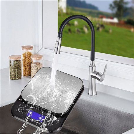 Balance De Cuisine Lavable IP67 Etanche