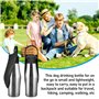 Gourde pour chien - 750 ml - En acier inoxydable - Pliable à 180° - Bouteille d'eau portable pour chien - Pour la marche, les pa