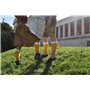 Wadlmaß Original Chaussettes à bière bavaroise avec poignée, jaune/blanc, 10