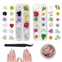 CCUCKY Fleurs Séchées à Ongles Naturelles